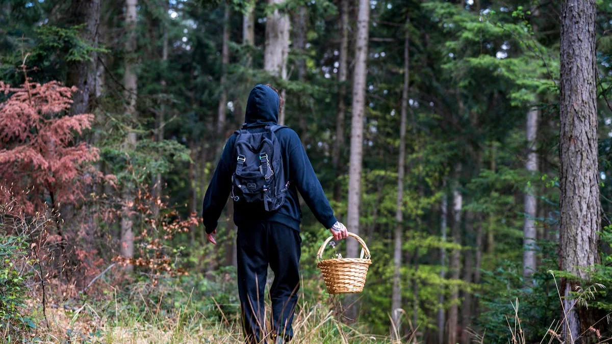 Foraging deep in the woods with no cell service
