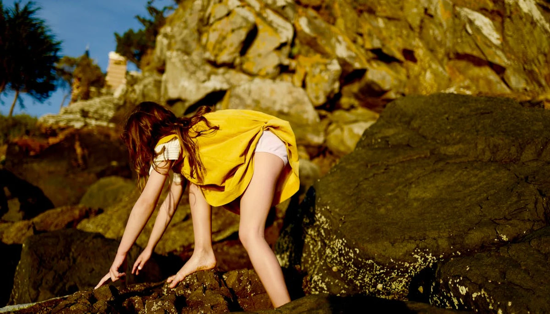 How to Start a Rock Collection for Kids in 7 Simple Steps