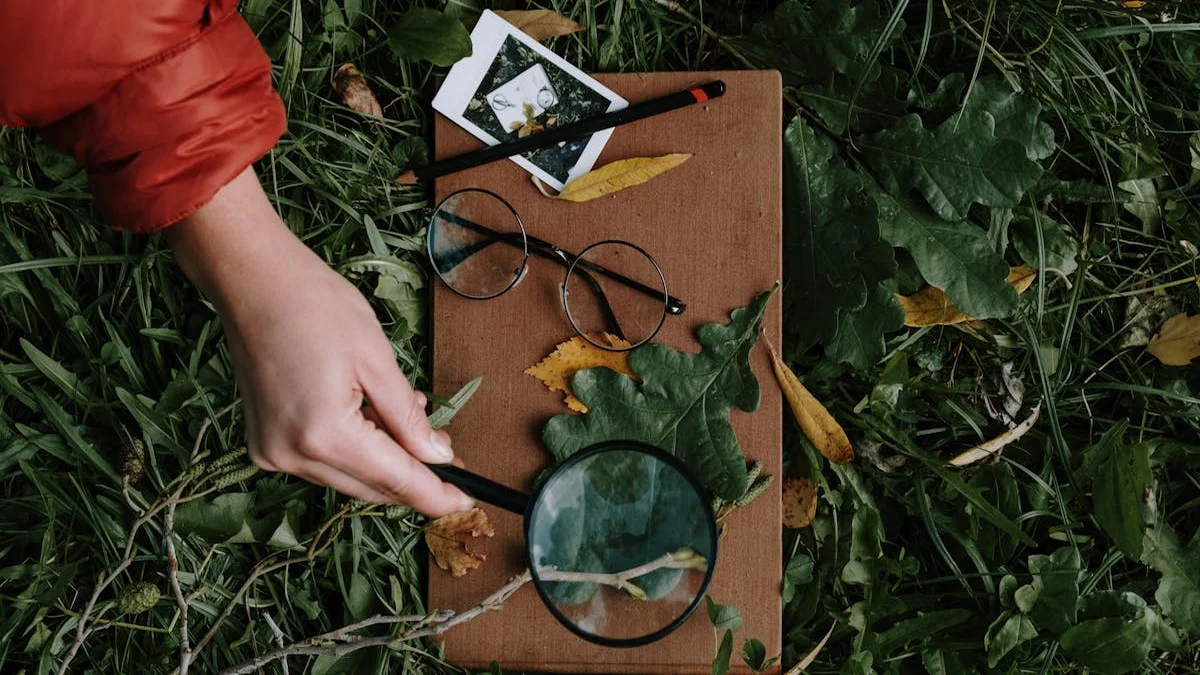 A child's hands examining a rock with a magnifying glass in a sunlit backyard