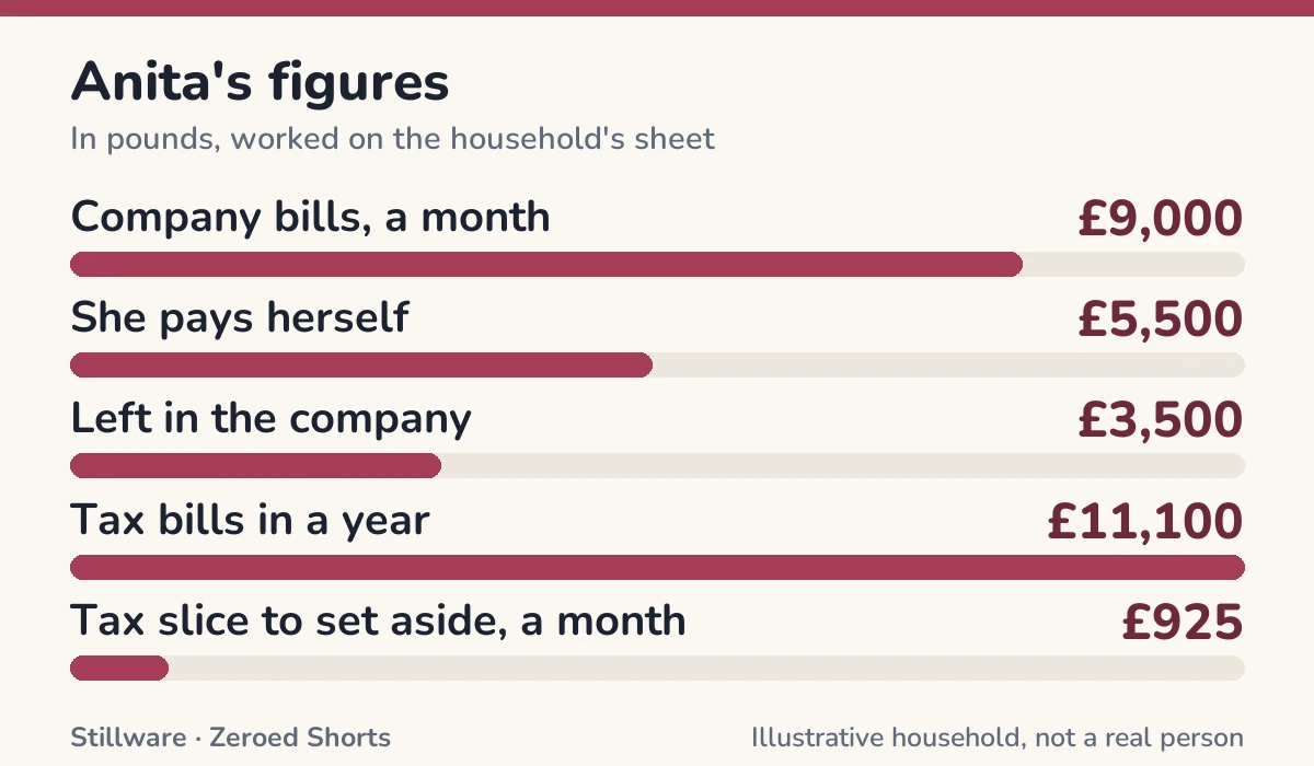 Bar chart of Anita's figures in pounds: Company bills, a month £9,000; She pays herself £5,500; Left in the company £3,500; Tax bills in a year £11,100; Tax slice to set aside, a month £925.